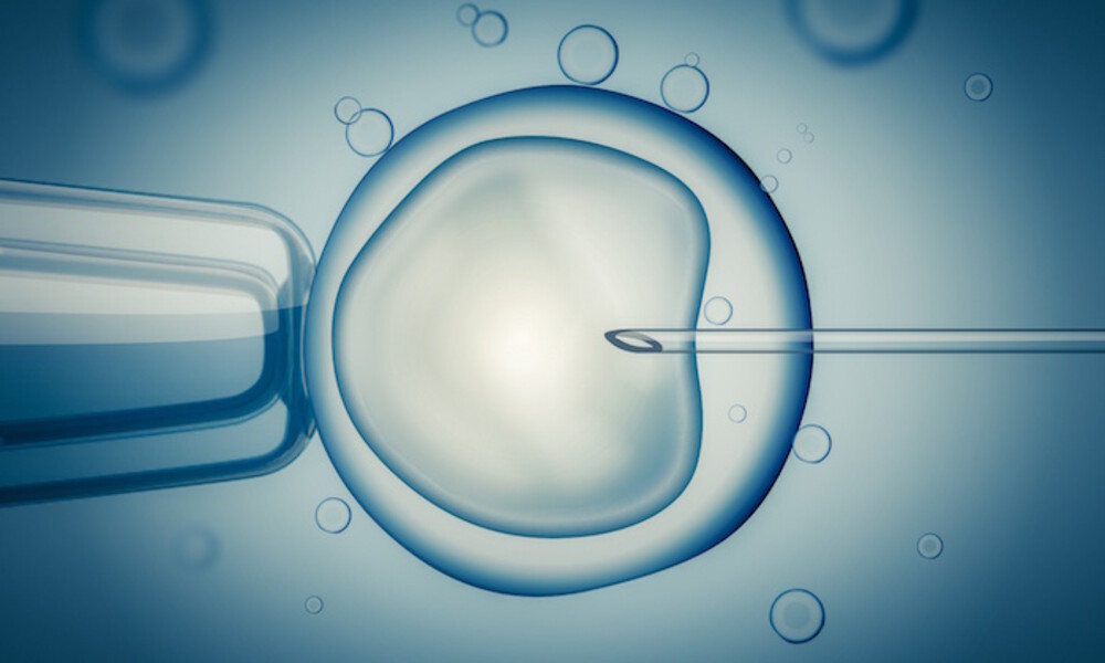 Everything-You-Need-To-Know-About-Egg-And-Embryo-Preservation-Costs