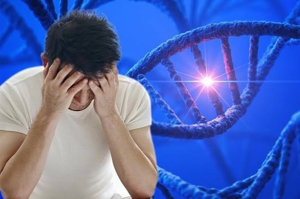 certain genetic factors contribute to erectile dysfunction