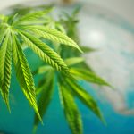 Dispensary Etiquette